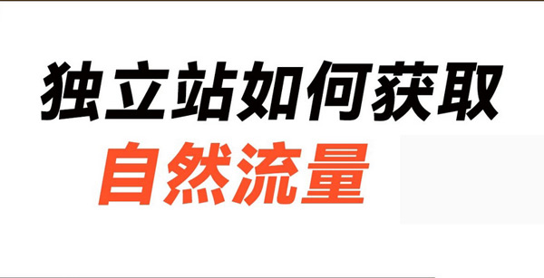 独立站没流量怎么办？付费+免费方法大放送！