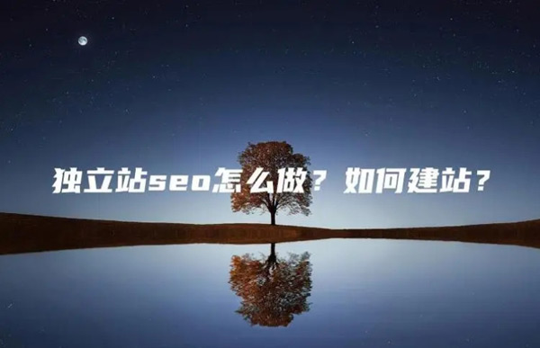 独立站seo6个月会有什么效果？独立站老板必看攻略