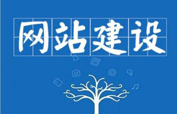 独立站的域名和服务器为什么一定自己买？