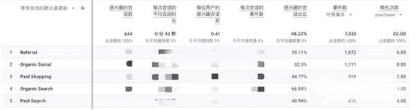 独立站数据分析项目都有哪些？